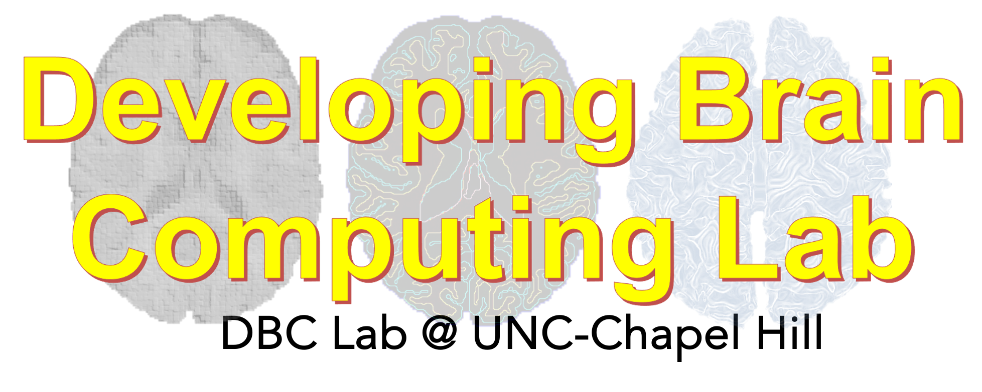 Developing Brain Computing Lab